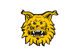 Ilves Tampere